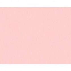 Papel de Parede LITTLE LOVE DREAM FLOWERY 383167