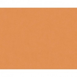 Papier peint LITTLE LOVE DREAM FLOWERY 383266