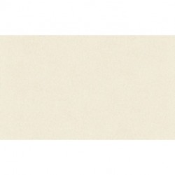 Papel Pintado LONG LIFE COLOURS 301401