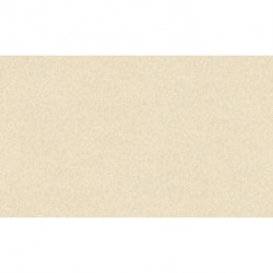 Wallpaper LONG LIFE COLOURS 301406