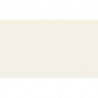 Papier peint LONG LIFE COLOURS 307253