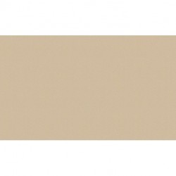 Papier peint LONG LIFE COLOURS 307258