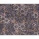 Papel de Parede NEW WALLS 373914