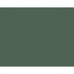 Papier peint TRENDWALL 379740