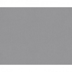 Papel de Parede VERSACE 343274
