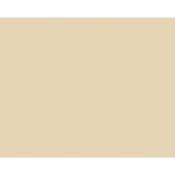 Papel Pintado VERSACE 935485