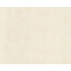 Papier peint VERSACE 935703