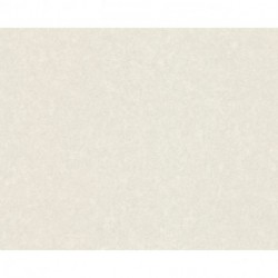 Papel de Parede VERSACE 935822