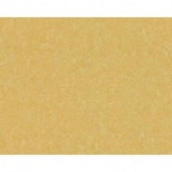 Papel de Parede VERSACE 935823