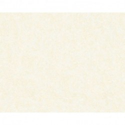 Papel de Parede VERSACE 935825