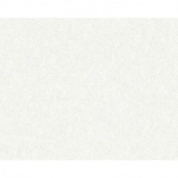 Papel Pintado VERSACE 935826