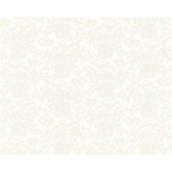 Papier peint VERSACE 935842