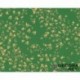 Papier peint VERSACE 935856