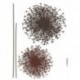 Wall Sticker FLORAL AND WELLNESS 17004 Pusteblume