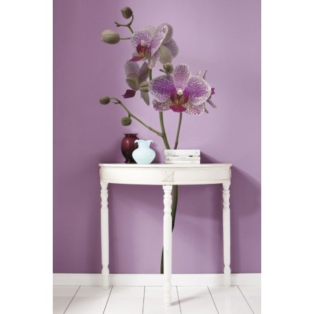 Wall Sticker FLORAL AND WELLNESS 17702 Orchidee