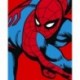 Fotomural MARVEL by KOMAR DX4-155 Marvel Power Up Spider Man Watchout