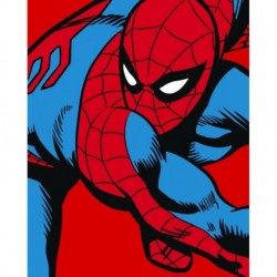 Mural MARVEL by KOMAR DX4-155 Marvel Power Up Spider Man Watchout