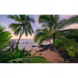 Fotomural STEFAN HEFELE TROPICAL SHX9-116 Hawaiian Dreams