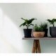 Wallpaper KYLIE 82053 675410