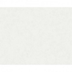 Papel Pintado ARCADE 393301