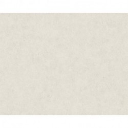 Papier peint ARCADE 393305
