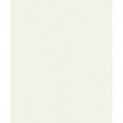 Papel Pintado ATTITUDE A65601