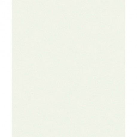 Papel Pintado ATTITUDE A65601
