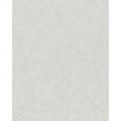 Papier peint ATTITUDE A65602