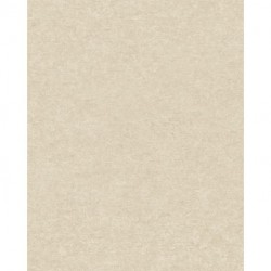 Papier peint ATTITUDE A65603