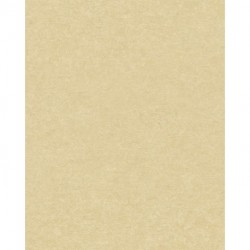 Papier peint ATTITUDE A65604