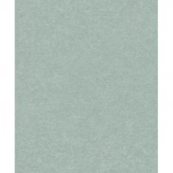 Papier peint ATTITUDE A65605