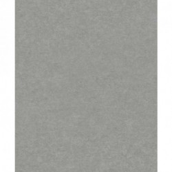 Papel Pintado ATTITUDE A65606