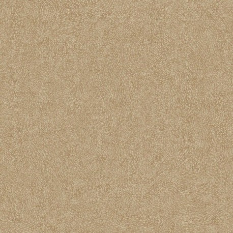 Papier peint ATTITUDE A67004