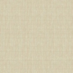 Papier peint BRAZIL BA26010