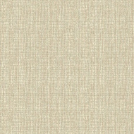 Papier peint BRAZIL BA26010