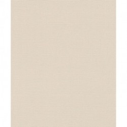 Papier peint DECO STYLE 734041