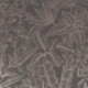 Papel de Parede OPULENCE 115719