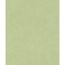 Papel de Parede PARAISO 330052