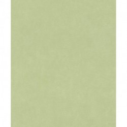 Papier peint PARAISO 330052