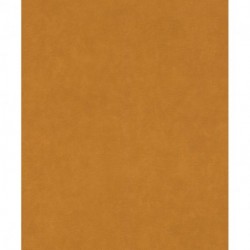 Papier peint PARAISO 330137