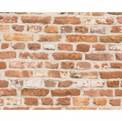 Wallpaper BOS BATTLE OF STYLE ELEMENTS 388291