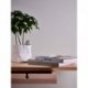 Wallpaper CASUAL LIVING 395474