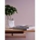 Papel de Parede CASUAL LIVING 395477
