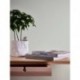 Papel Pintado CASUAL LIVING 395479
