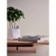 Papel Pintado CASUAL LIVING 395492