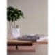 Papel de Parede CASUAL LIVING 395511