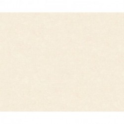 Papel Pintado DESERT LODGE SMART SURFACES 367205