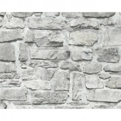 Papel Pintado ELEMENTS 363701