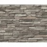 Papier peint ELEMENTS 958331