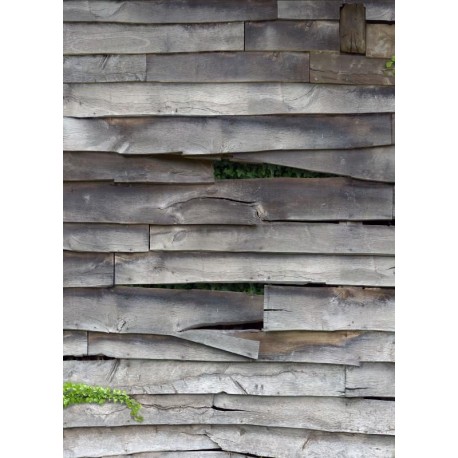 Fotomural ZOOM 222810